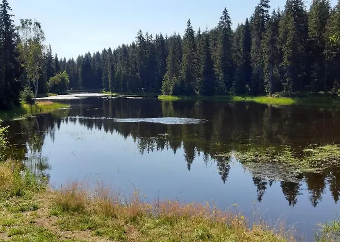 Jizerska Malina * Bedrichov (Liberec)